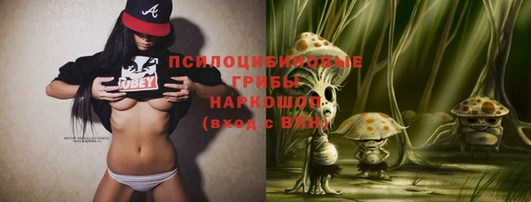 дживик Кукмор