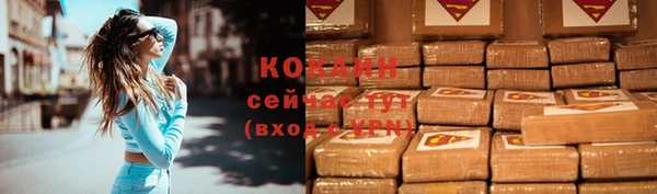 дживик Кукмор