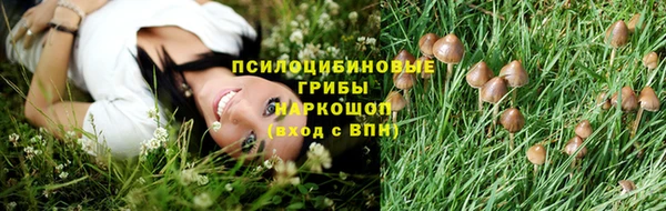 дживик Кукмор