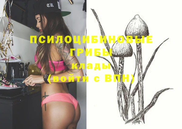 дурь Кулебаки