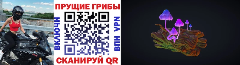 Псилоцибиновые грибы MAGIC MUSHROOMS  Купить где  Ермолино 